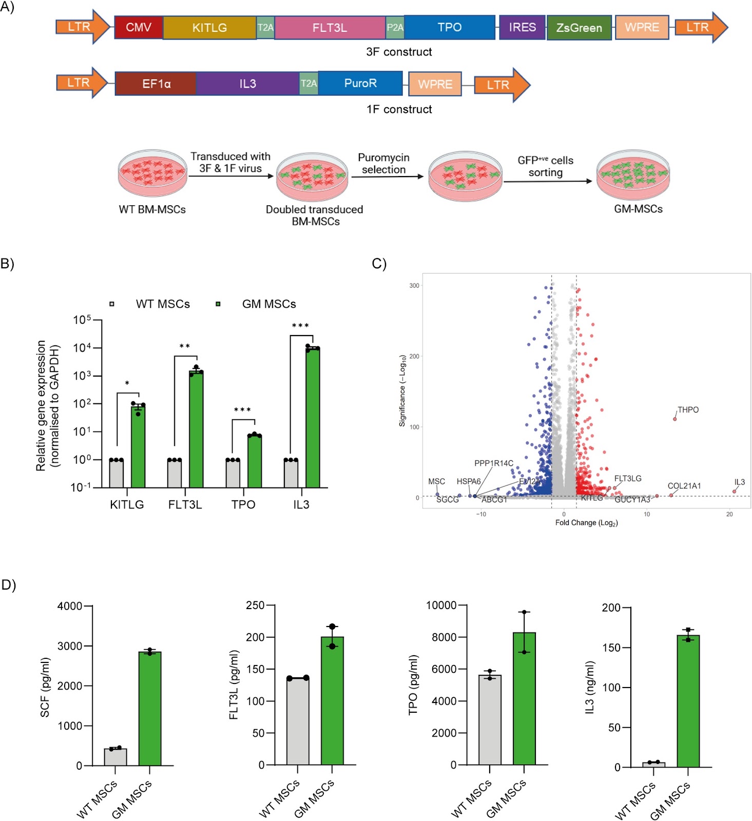 Engineering biomimetic bone marrow niche with gene modified mesenchymal stromal cells for ex vivo culture of human hematopoietic stem and progenitor cells