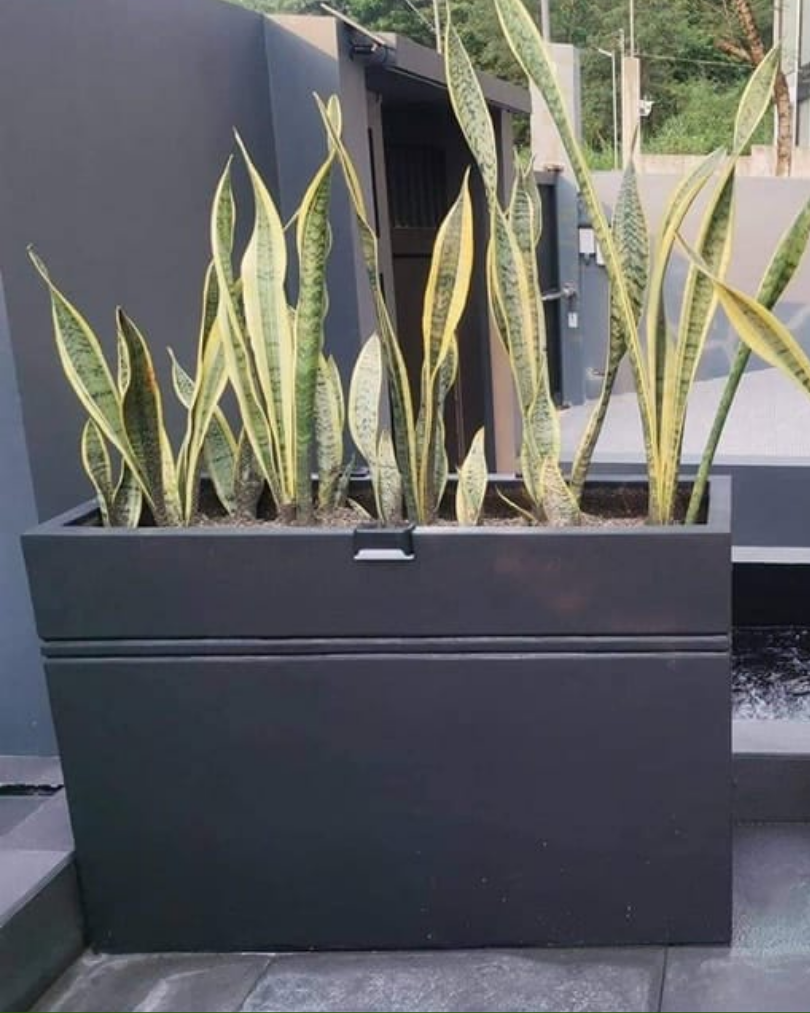 WMS concrete pot design 44