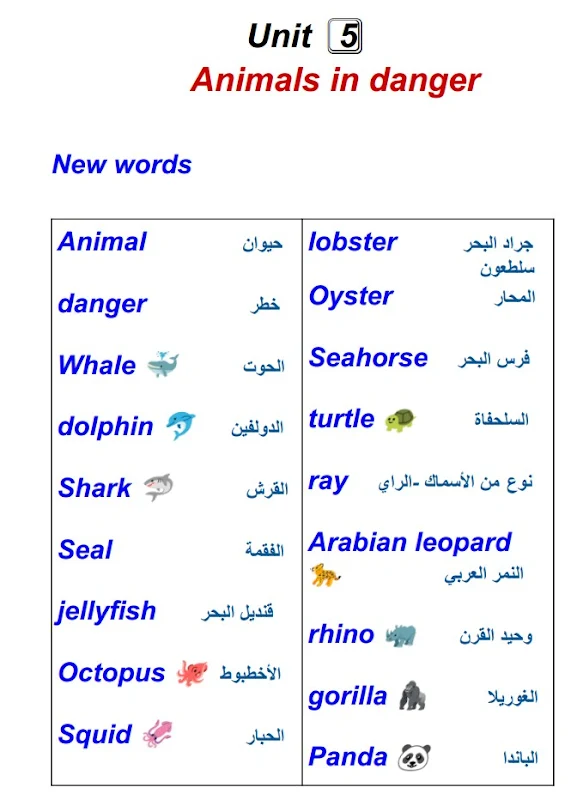 صورة الغلاف