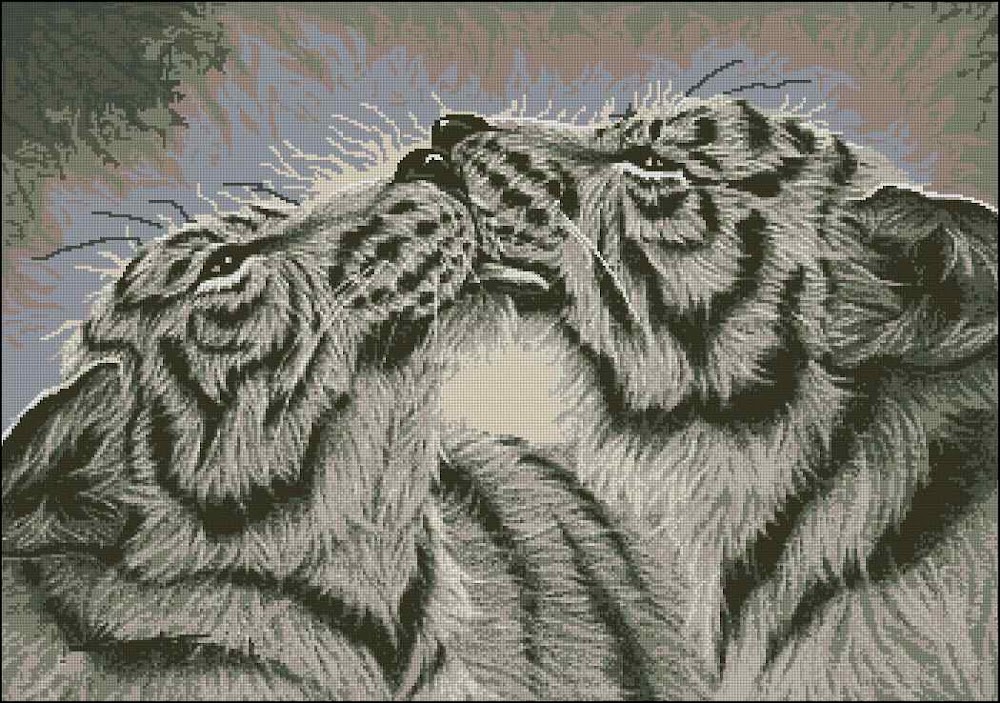 CMP 400693 Kiss Of The Tiger