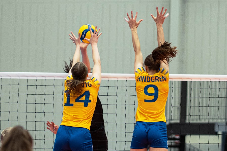 Sweden Hungary 334