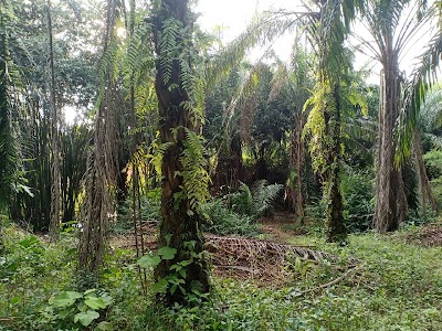 Tanah Pertanian Bukit Cerakah Seksyen U15 — foto 4/10