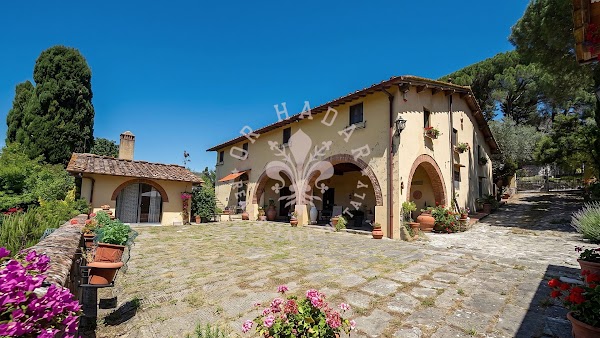 הגבעות של פירנצה (Firenze)