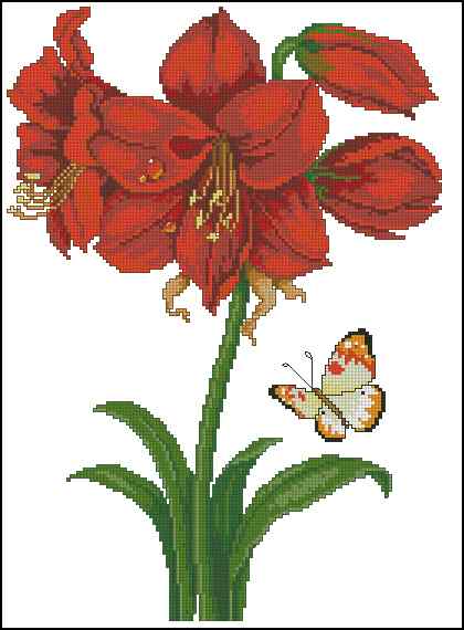 CMP 170312 Red Lilies