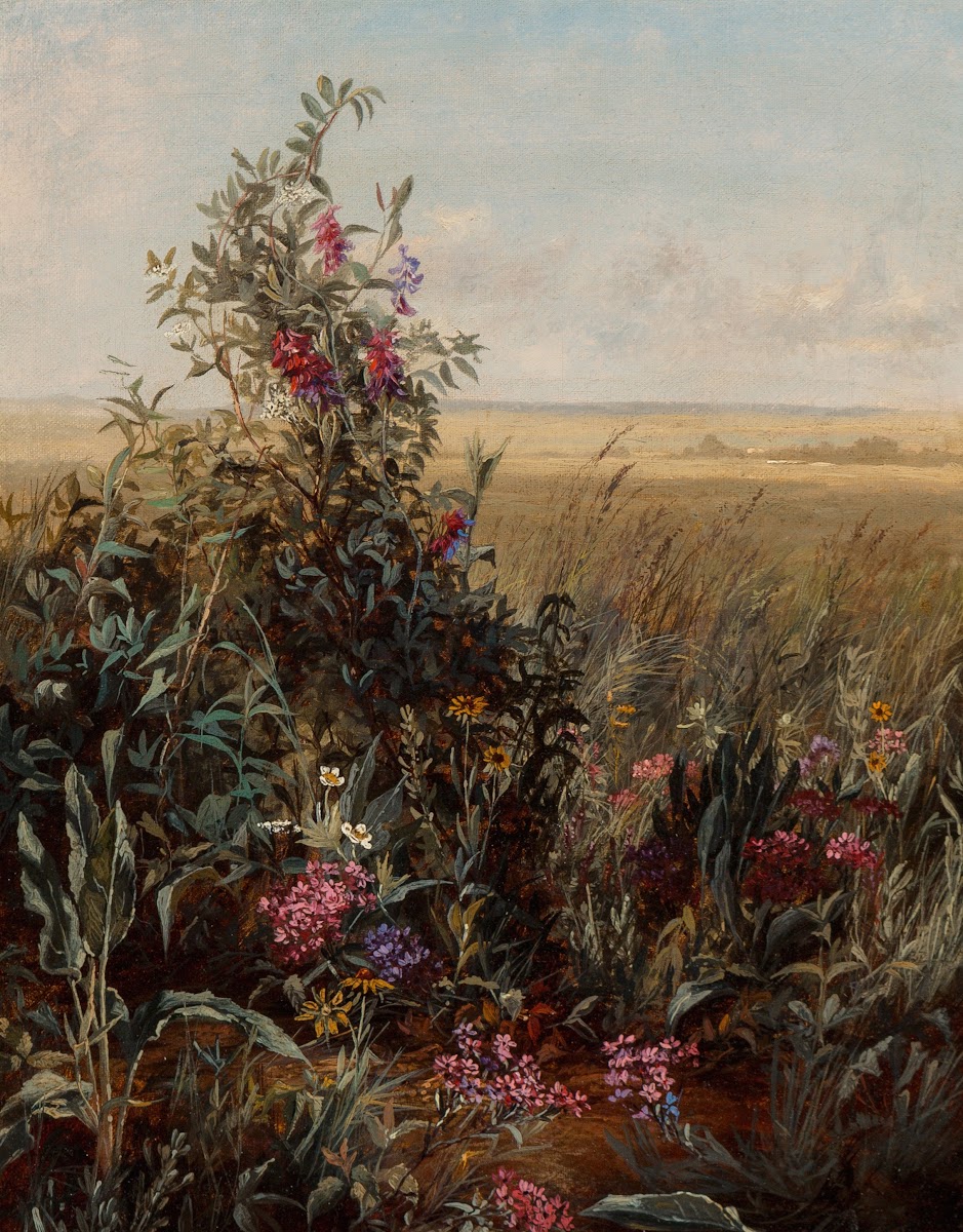 Wild Flowers