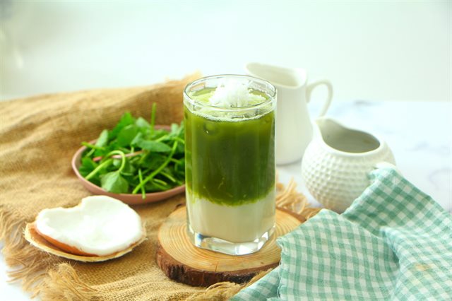 Rau Má Sữa Dừa