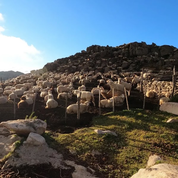 Travesía Tres Cumbres