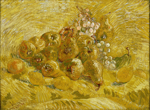 Quinces lemons pears and grapes from 1887 until 1888