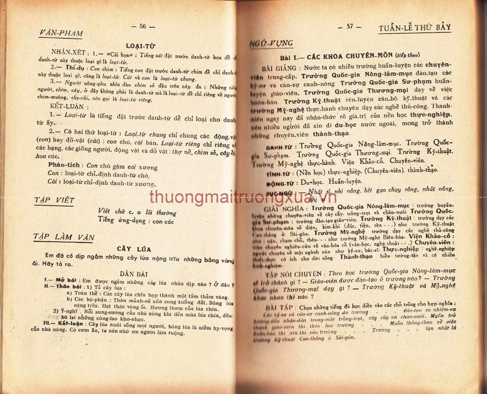 Việt Nam di tích và cảnh đẹp (1995) - Trang 29