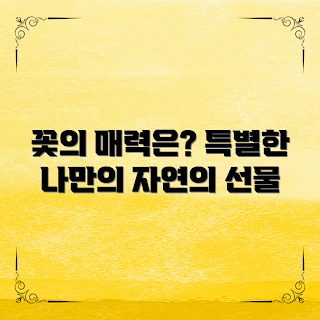 자연주의플라워샵, 꽃 선물 아이디어, 플라워 클래스, 꽃 관리 팁, 꽃 애호가