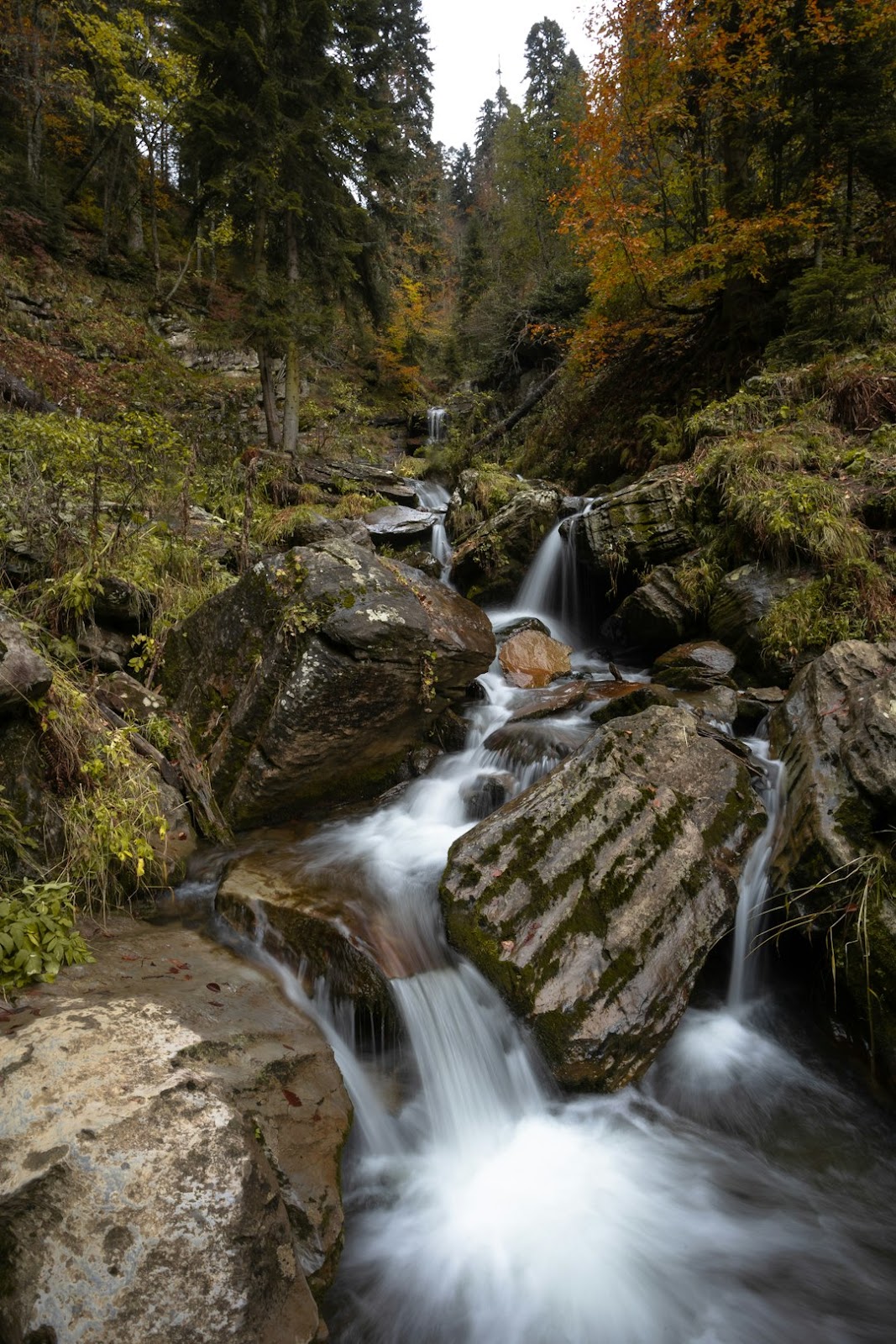 1. '인생샷' 건지는 외도 보타니아, 방문 최적 시기는 언제?