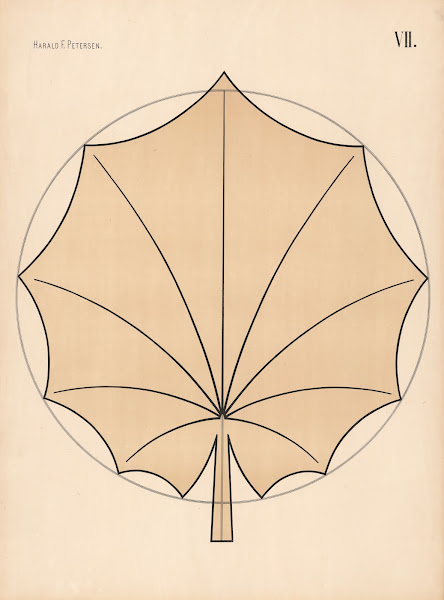 Elementary Freehand Drawing vol2 Pl07 1909