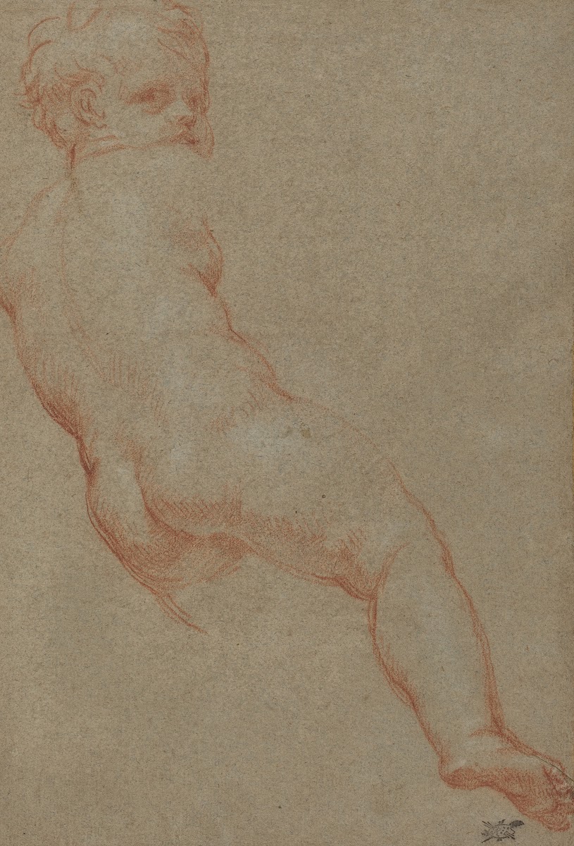 Study of a Young Boy