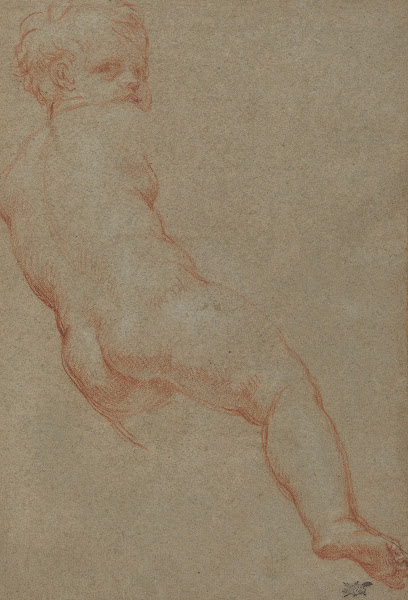 Study of a Young Boy