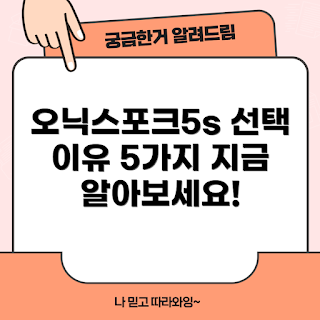 오닉스포크5s, 오닉스포크5s 장점, 차량 선택 이유, 스마트 모빌리티, 전기 스쿠터