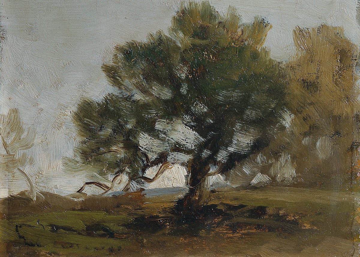 Landschaft