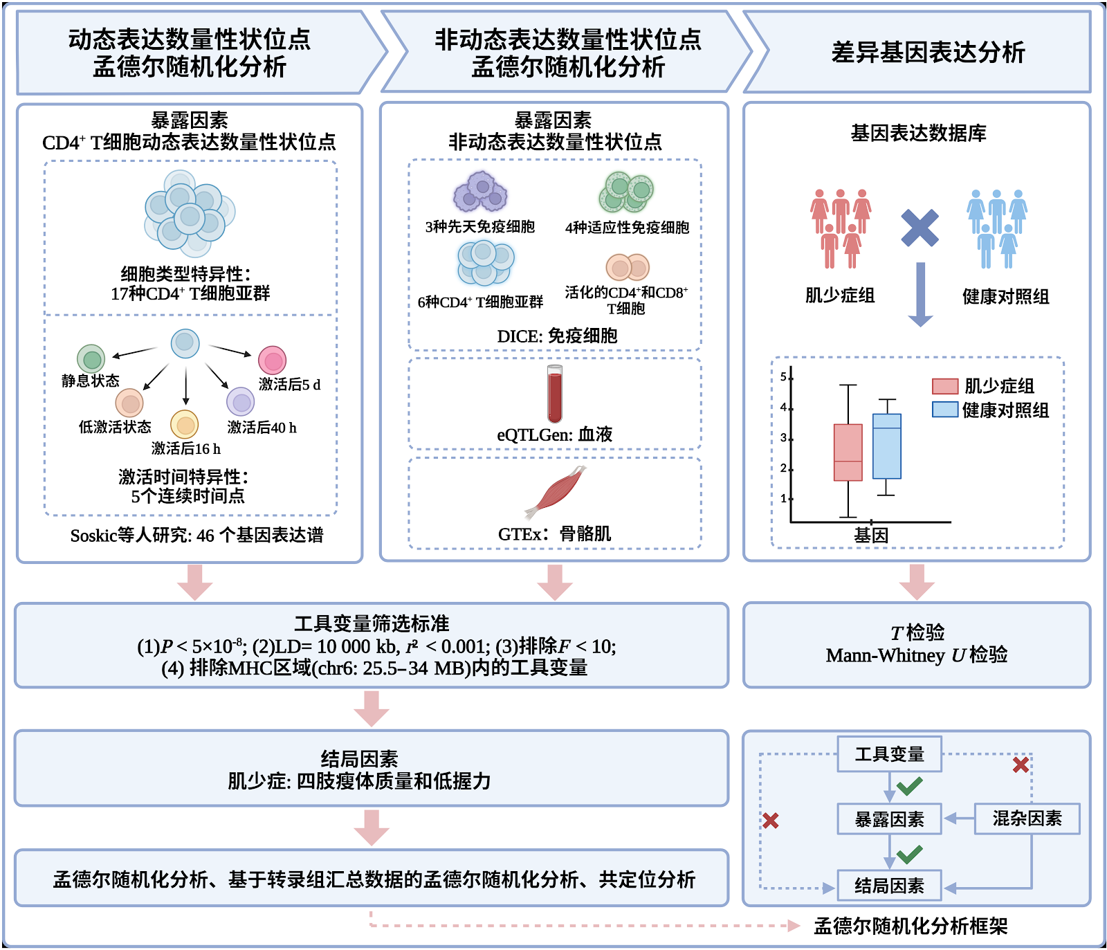 Integration of CD4+ T cell dynamic expression of quantitative trait loci reveals immunotherapeutic targets for sarcopenia