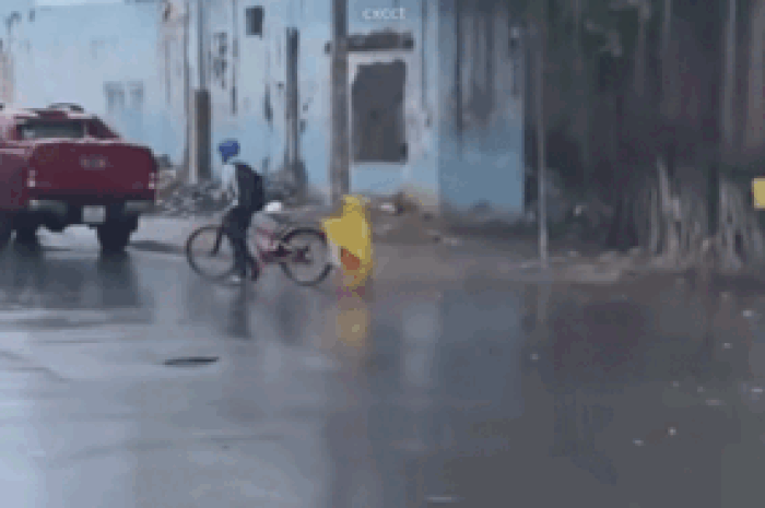 17 giây của 2 anh em trên đường đi học về khiến ai cũng hạnh phúc lây - Tạp chí SaoStar