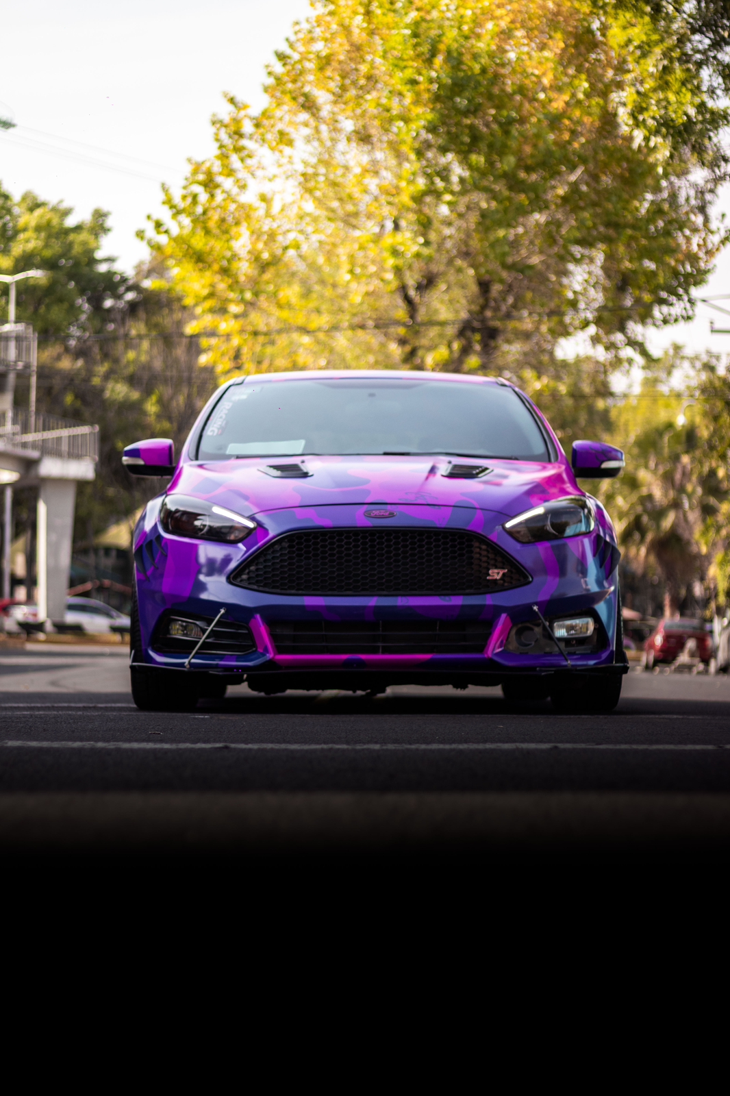 Focus ST · RipNDip 2