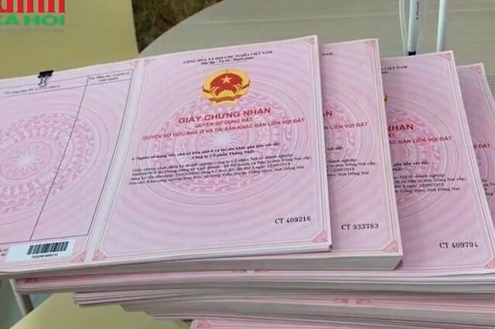 6 trường hợp bị thu hồi sổ đỏ năm 2026 - Chuyên trang Gia Đình &amp; Xã Hội - Báo Sức khỏe &amp; Đời sống