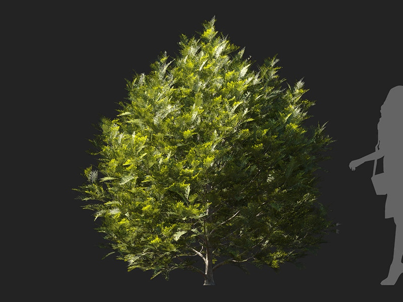 Maxtree - Plant Models Vol.122