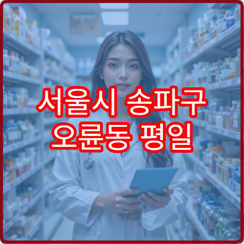 서울시 송파구 오륜동 평일 야간 약국 주거지역 주변 야간 약국 안내