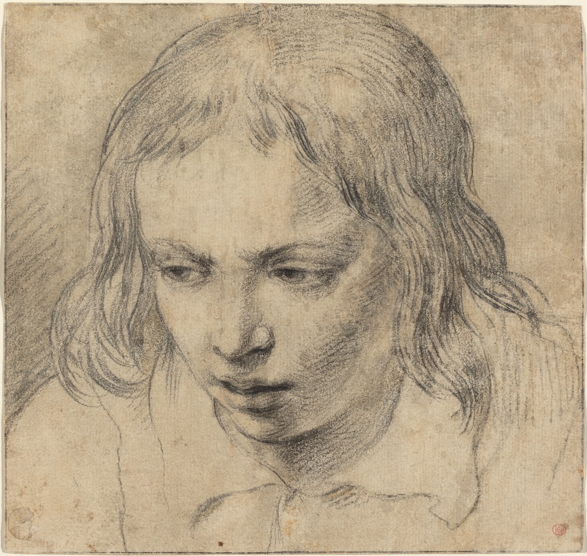 Head of a Young Man recto c 1650