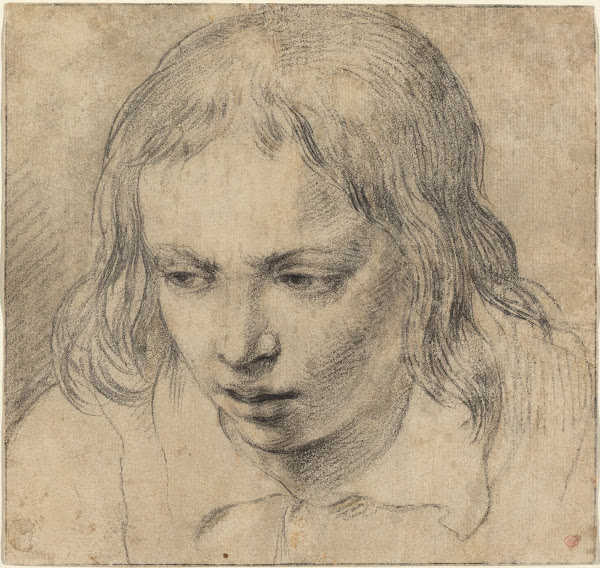 Head of a Young Man recto c 1650