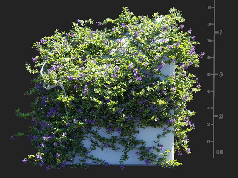 Maxtree - Plant Models Vol.112