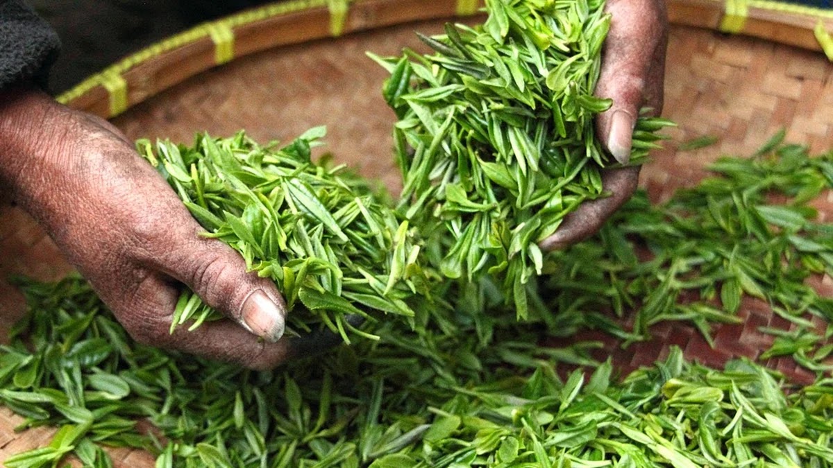퀵정렬과 병합정렬 알고리즘 구조 및 성능 비교