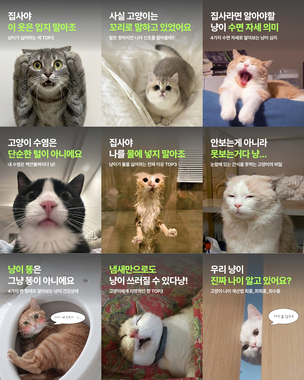 MAMACAT Performance Marketing