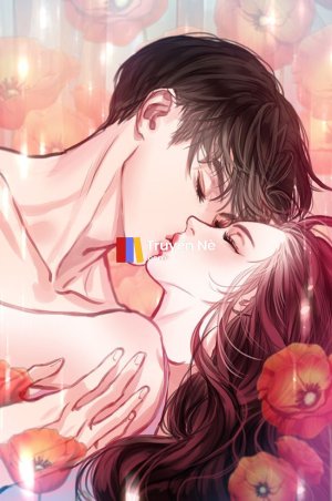 Nhầm Lẫn Trong Tình Yêu