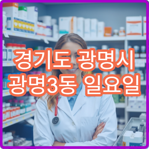 경기도 광명시 광명3동 일요일 문 여는 약국 당번 운영 정보
