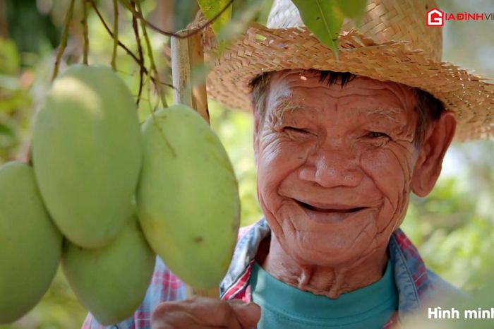Da sáng, mắt khỏe nhờ biết cách ăn xoài - Chuyên trang Tiêu Dùng - Tạp chí Gia Đình Việt Nam