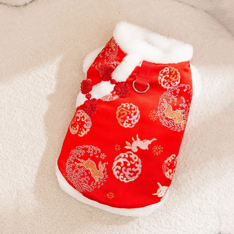 Padded dog vest for small dogs