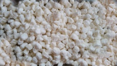 Hòa tan chút nước ấm với 50gr bột năng, 100gr đường, rồi cho phần cùi bưởi đã vắt khô vào ngâm đến khi cùi căng phồng, ngậm no nước thì đổ ra rổ cho bớt nước. Rải cùi bưởi ra khay rồi rắc 100gr bột năng lên trên bao quanh miếng cùi bưởi, dùng tay thoa đều để tạo cho cùi bưởi một lớp áo dày và các viên cùi bưởi tách rời, không còn dính vào nhau.