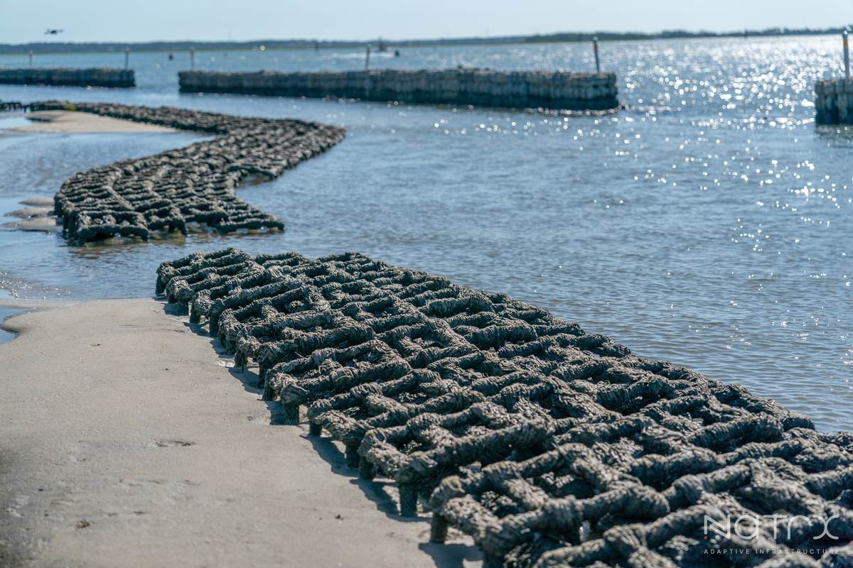 MY PRO PHOTOGRAPHER (223 of 243).jpg