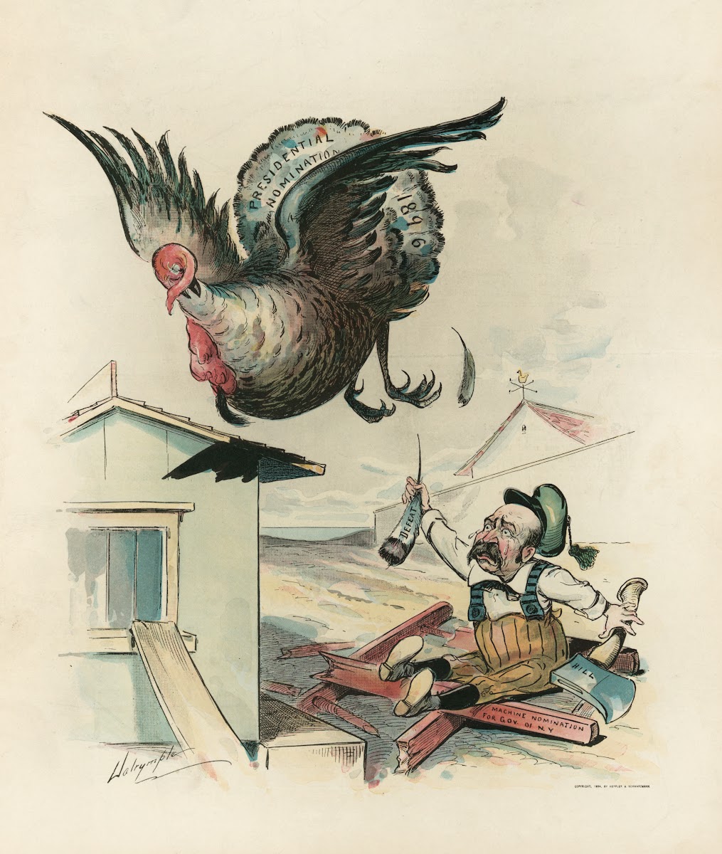 No turkey for David 1894