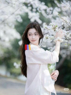 Khi Những Đoạn Bình Luận Trở Thành Thực Tại