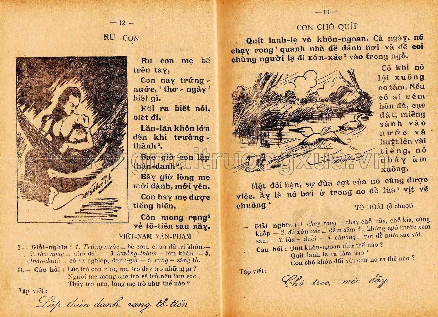 Việt văn độc bản lớp tư (1951) - Trang 8
