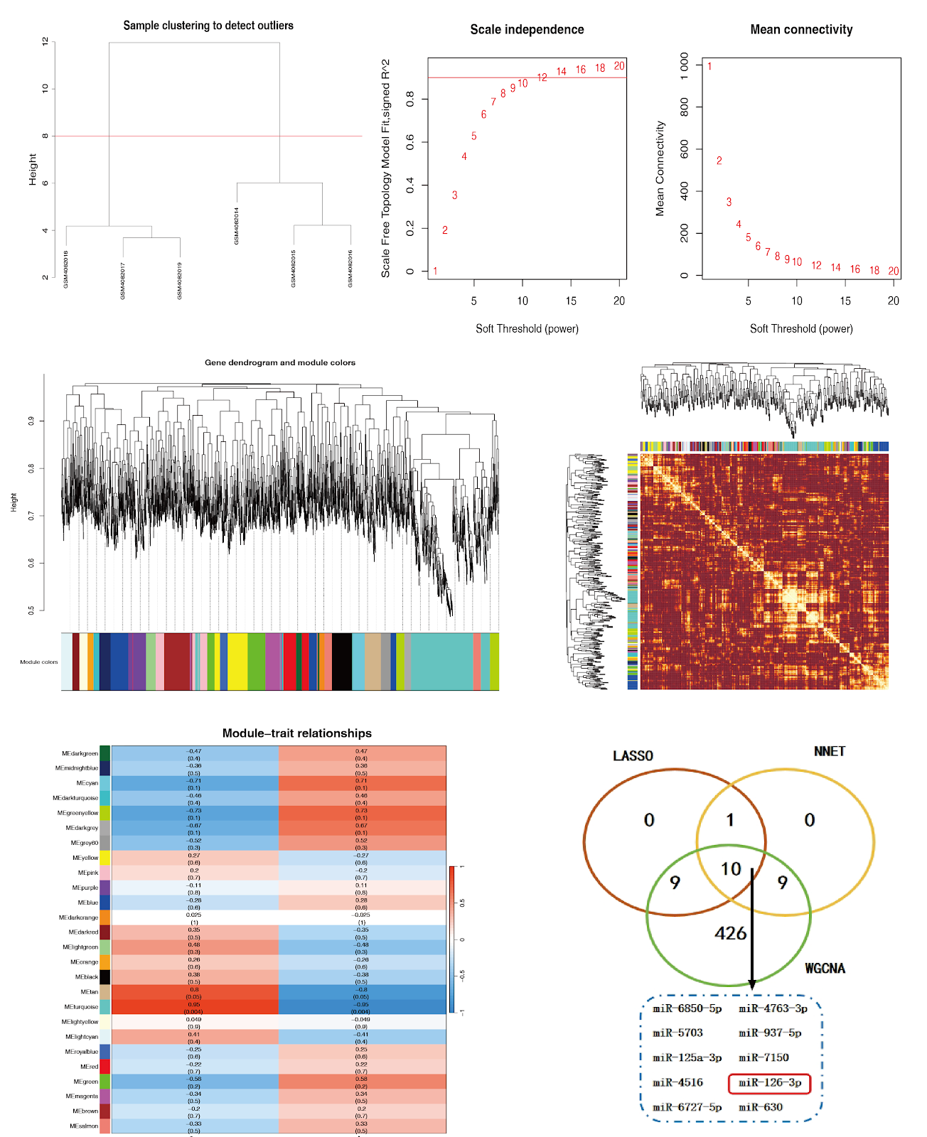 Xiao Ban Tong Mai Fang regulates autophagy via targeting miR-126-3p: bioinformatics analysis for prevention and treatment of atherosclerosis
