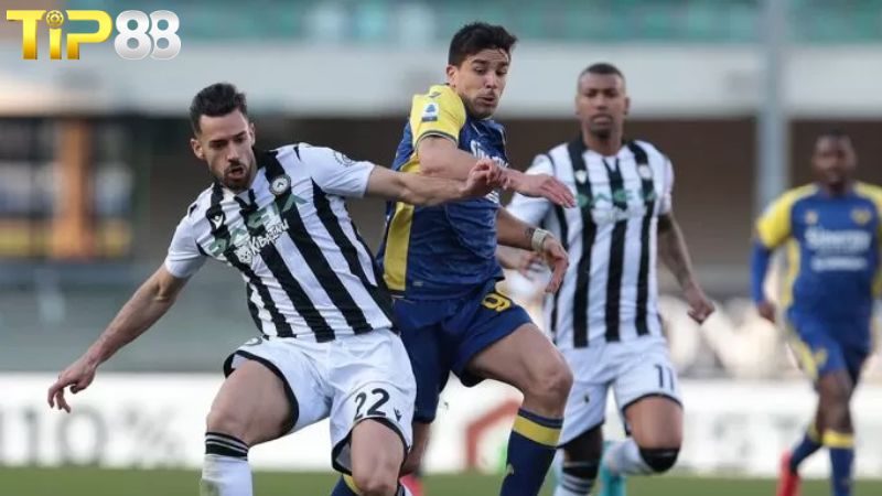 Lịch sử đối đầu giữa Verona vs Udinese