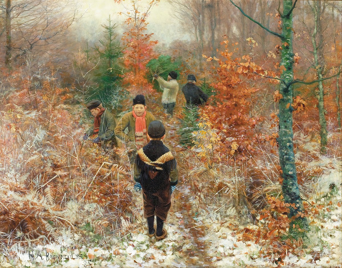 Juletræsfældning 1885