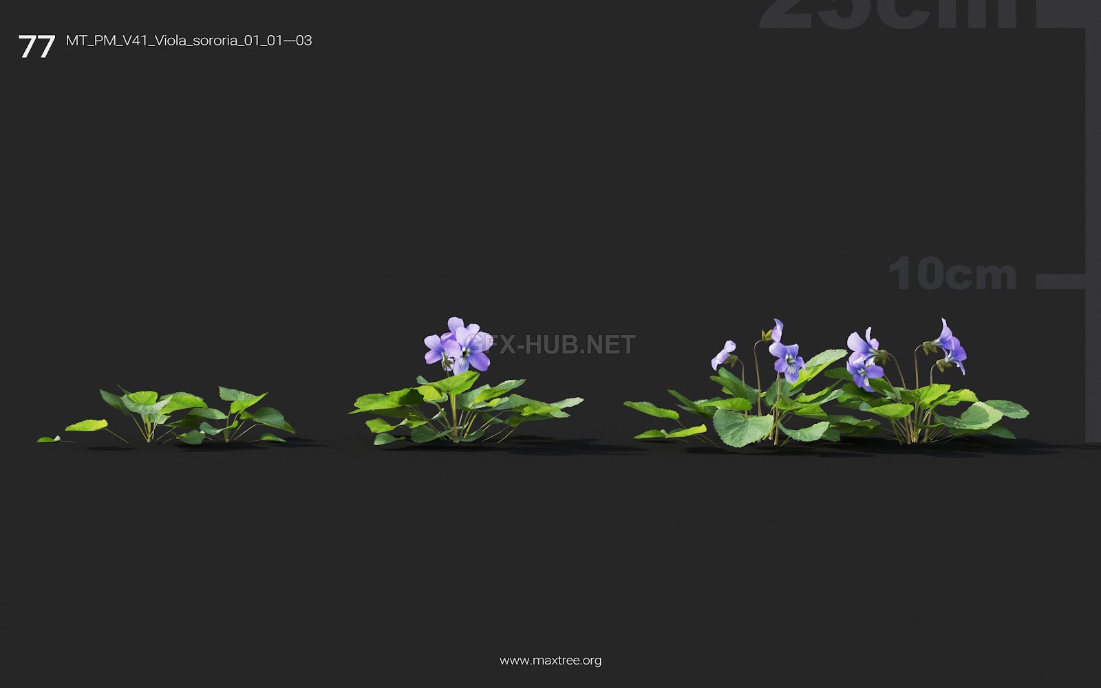 Maxtree - Plant Models Vol.41