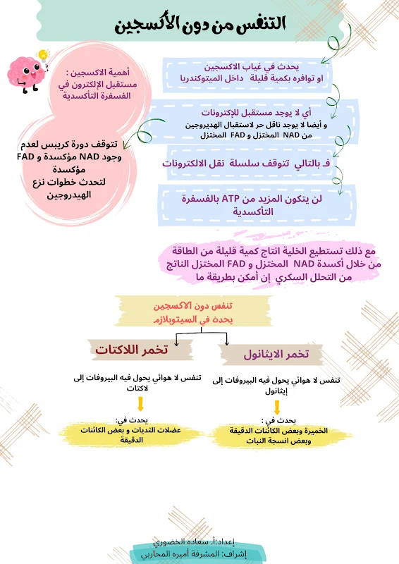 صورة الغلاف