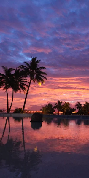 Sunset, Cloud, Water, Plant, Afterglow Full HD iPhone Wallpaper Background