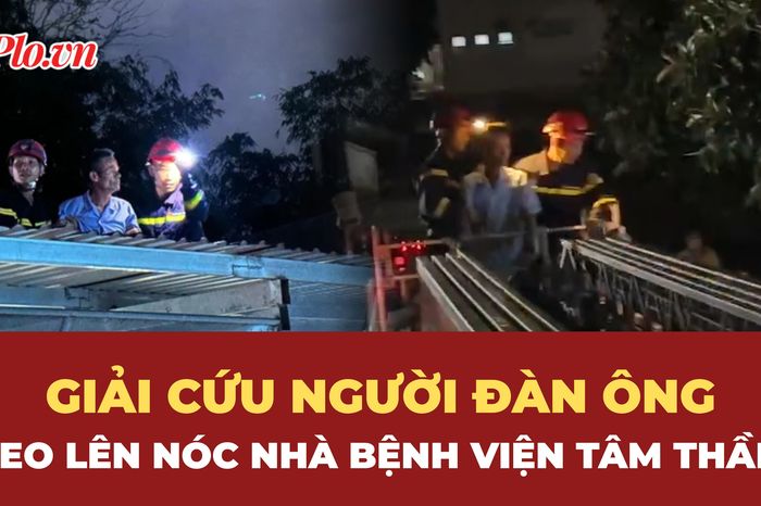 Nghẹt thở giải cứu bệnh nhân leo lên nóc nhà bệnh viện tâm thần - Báo Pháp Luật TP.HCM