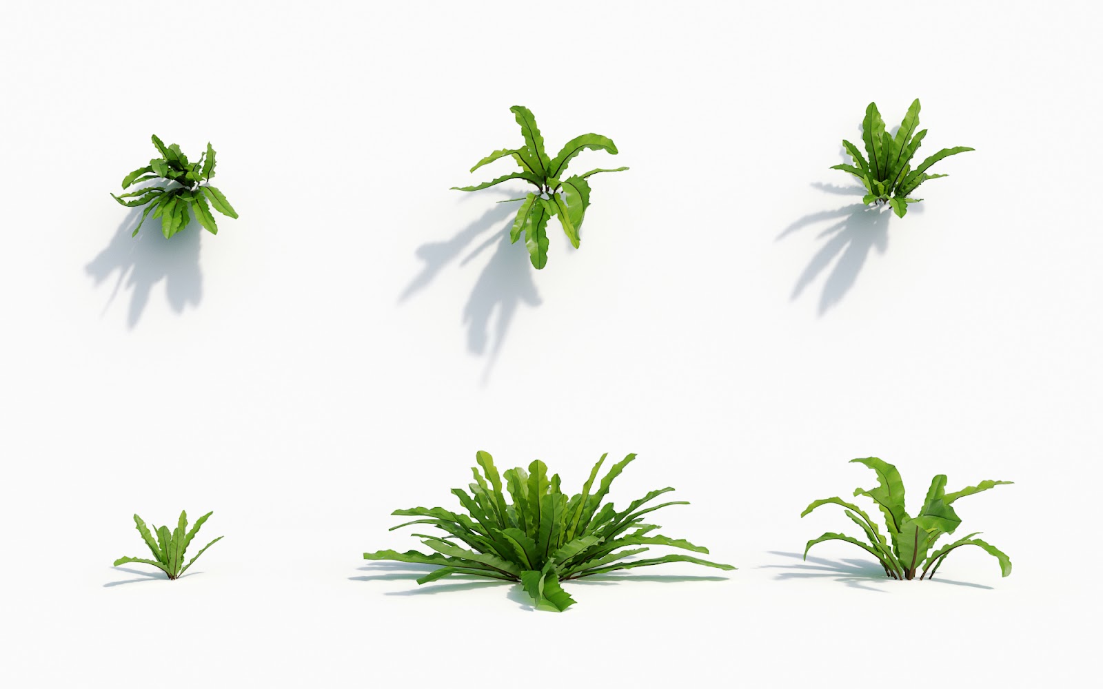 Maxtree - Plant Models Vol.8