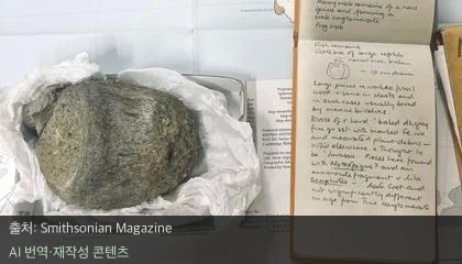 남극 공룡 화석 - 40년 만의 반전, 남극 공선 최초의 공룡 화석 발견