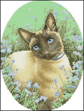 CMP JS305 Siamese Cat